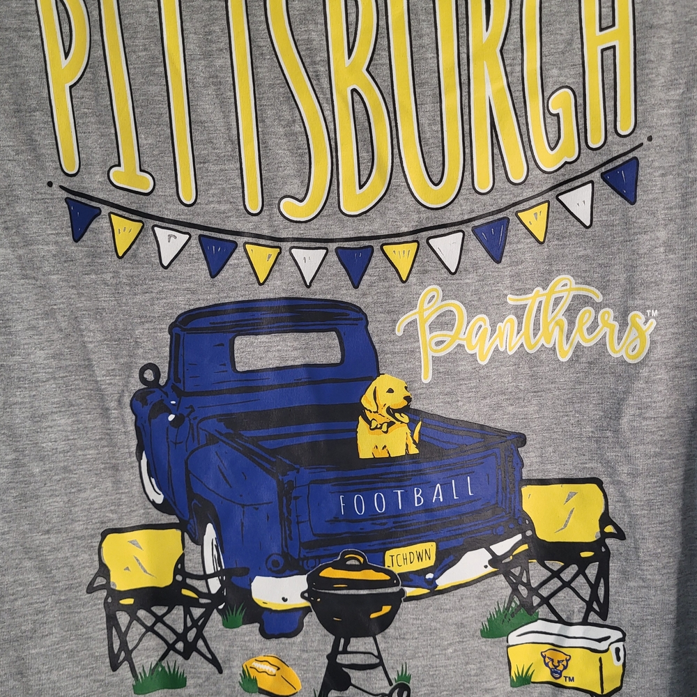 Gray Pittsburgh Panthers Graphic Tee